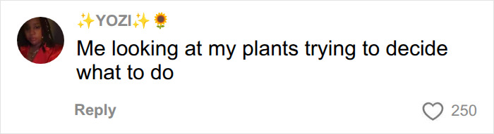 Man Left In Dire Medical Situation Needing A Transplant Because Of His 67 Plants, Expert Unveils Dangers Man Left In Dire Medical Situation Needing A Transplant Because Of His 67 Plants, Expert Unveils Dangers