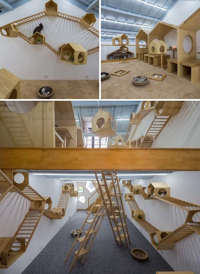 130 Times Brilliant Design Choices Surprised People 130 Times Brilliant Design Choices Surprised People