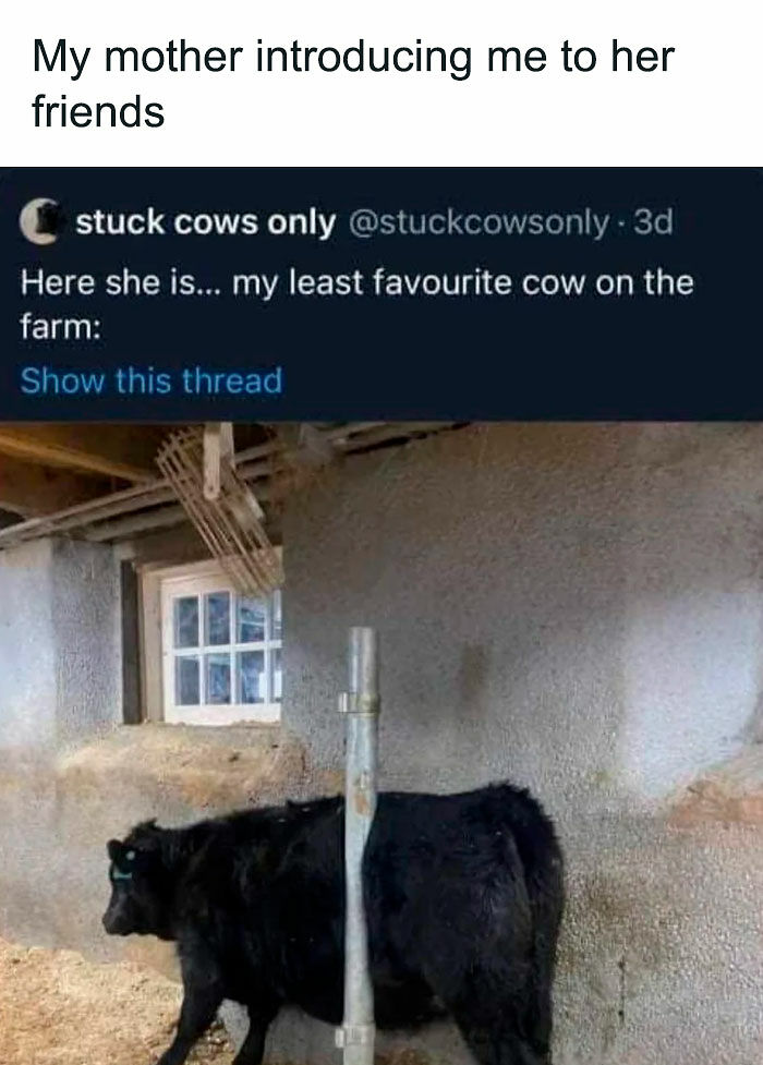 56 Oddly Specific Posts That Raise More Questions That They Answer (New Pics) 56 Oddly Specific Posts That Raise More Questions That They Answer (New Pics)