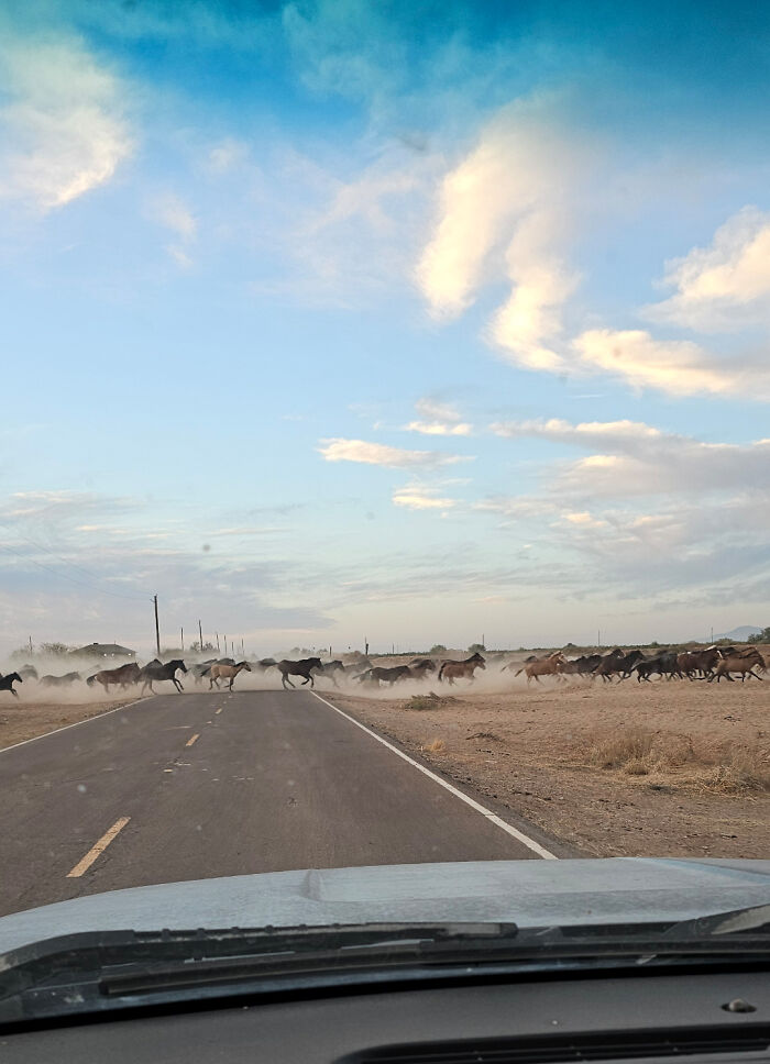 95 Fascinating And Wildly Different Photos Of The USA That Make You Say, &ldquo;This Is All The Same Country?&rdquo;