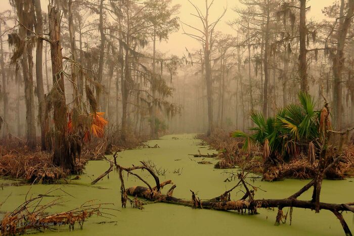 95 Fascinating And Wildly Different Photos Of The USA That Make You Say, &ldquo;This Is All The Same Country?&rdquo;