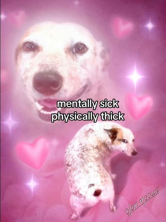 98 Hilarious Memes That You May Find Entertaining Because Of How Totally Relatable They Are 98 Hilarious Memes That You May Find Entertaining Because Of How Totally Relatable They Are