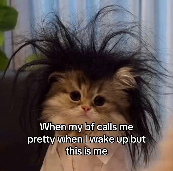 98 Hilarious Memes That You May Find Entertaining Because Of How Totally Relatable They Are 98 Hilarious Memes That You May Find Entertaining Because Of How Totally Relatable They Are