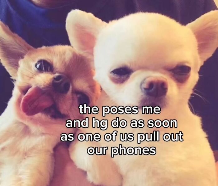 98 Hilarious Memes That You May Find Entertaining Because Of How Totally Relatable They Are 98 Hilarious Memes That You May Find Entertaining Because Of How Totally Relatable They Are