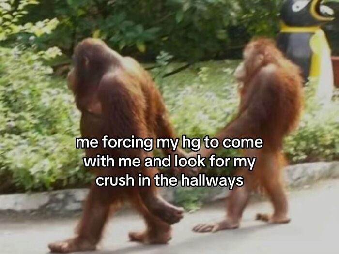 98 Hilarious Memes That You May Find Entertaining Because Of How Totally Relatable They Are 98 Hilarious Memes That You May Find Entertaining Because Of How Totally Relatable They Are