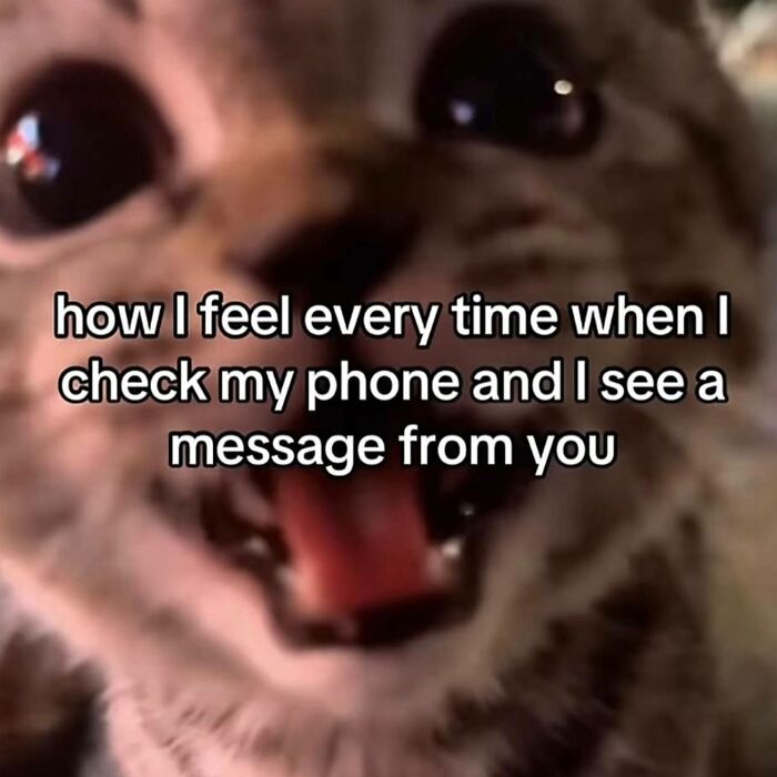 98 Hilarious Memes That You May Find Entertaining Because Of How Totally Relatable They Are 98 Hilarious Memes That You May Find Entertaining Because Of How Totally Relatable They Are