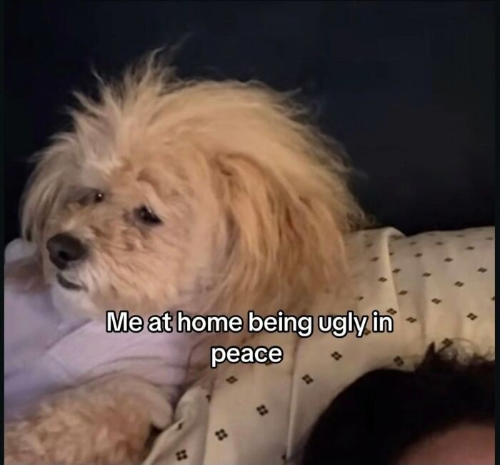 98 Hilarious Memes That You May Find Entertaining Because Of How Totally Relatable They Are 98 Hilarious Memes That You May Find Entertaining Because Of How Totally Relatable They Are