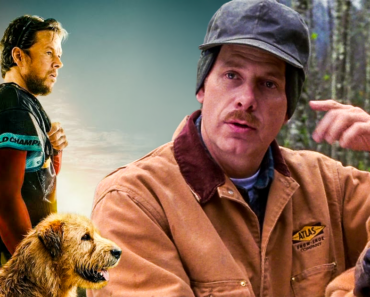 Man’s Best Friend- 5 Perfect Movies for Dog Lovers Man’s Best Friend: 5 Perfect Movies for Dog Lovers