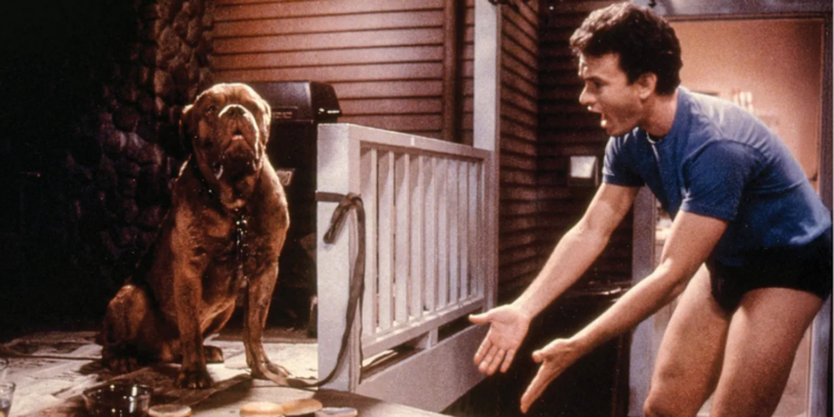 Tom Hanks in Turner & Hooch (1989) Tom Hanks in Turner & Hooch (1989)