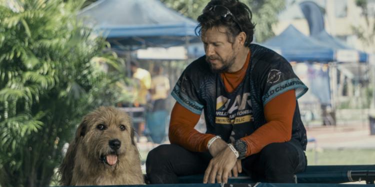 Arthur the King (2024) Arthur the King (2024)