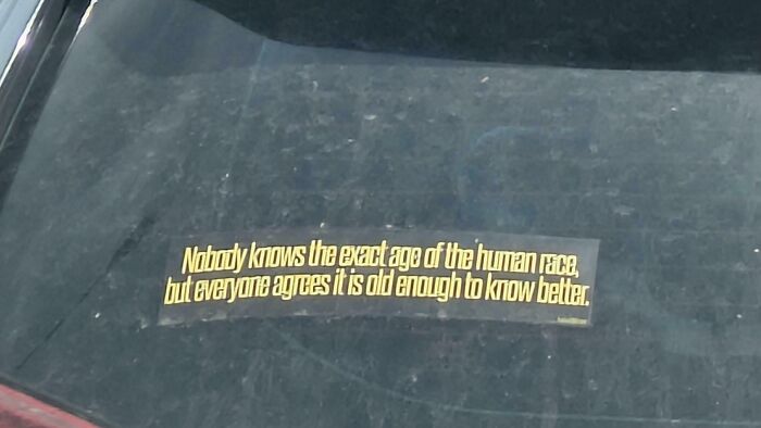 72 Funny, Wild, And Unfiltered Bumper Stickers That Made Drivers Do A Double Take (New Pics) 72 Funny, Wild, And Unfiltered Bumper Stickers That Made Drivers Do A Double Take (New Pics)