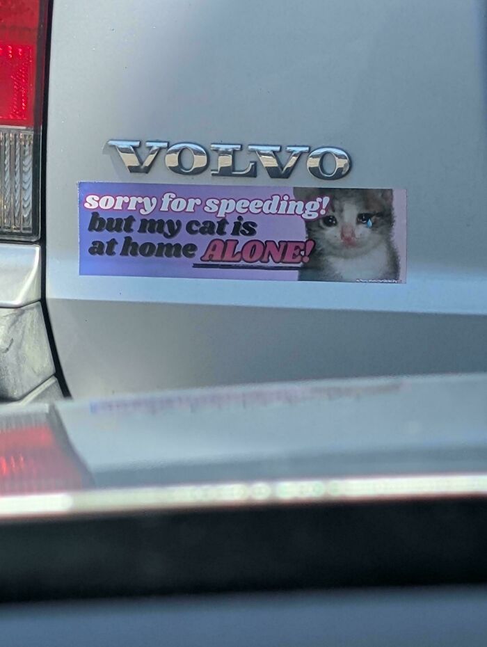 72 Funny, Wild, And Unfiltered Bumper Stickers That Made Drivers Do A Double Take (New Pics) 72 Funny, Wild, And Unfiltered Bumper Stickers That Made Drivers Do A Double Take (New Pics)