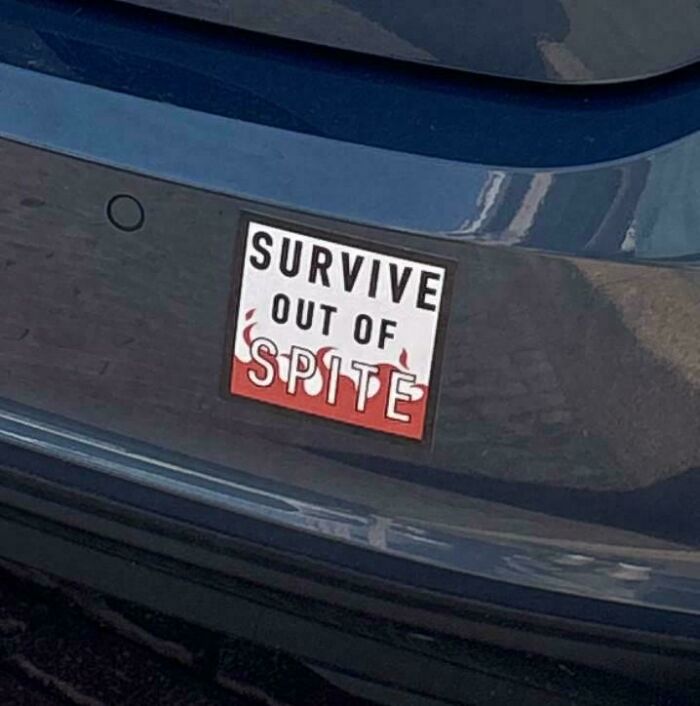 72 Funny, Wild, And Unfiltered Bumper Stickers That Made Drivers Do A Double Take (New Pics) 72 Funny, Wild, And Unfiltered Bumper Stickers That Made Drivers Do A Double Take (New Pics)