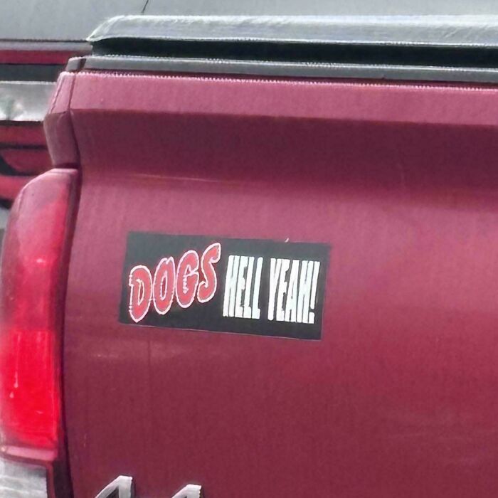 72 Funny, Wild, And Unfiltered Bumper Stickers That Made Drivers Do A Double Take (New Pics) 72 Funny, Wild, And Unfiltered Bumper Stickers That Made Drivers Do A Double Take (New Pics)