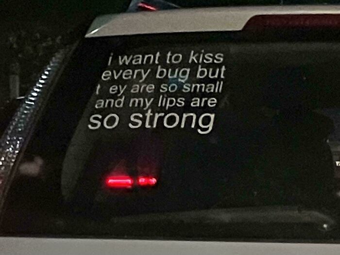 72 Funny, Wild, And Unfiltered Bumper Stickers That Made Drivers Do A Double Take (New Pics) 72 Funny, Wild, And Unfiltered Bumper Stickers That Made Drivers Do A Double Take (New Pics)