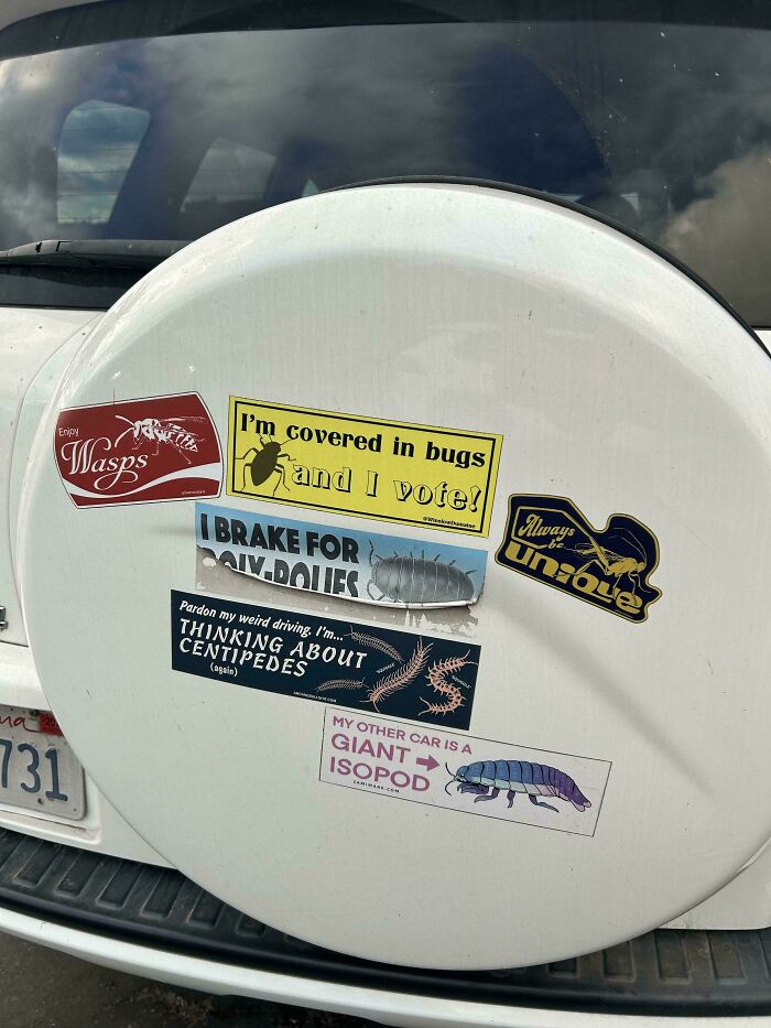 72 Funny, Wild, And Unfiltered Bumper Stickers That Made Drivers Do A Double Take (New Pics) 72 Funny, Wild, And Unfiltered Bumper Stickers That Made Drivers Do A Double Take (New Pics)