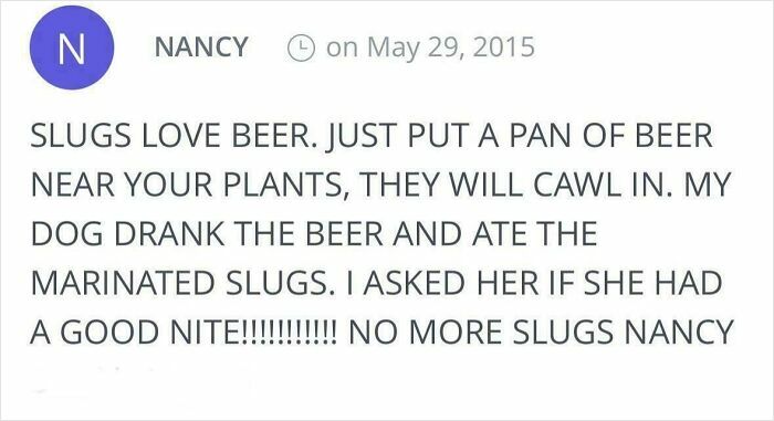 80 Times Elderly People Hilariously Proved That They Shouldn’t Have Unsupervised Access To The Internet 80 Times Elderly People Hilariously Proved That They Shouldn’t Have Unsupervised Access To The Internet