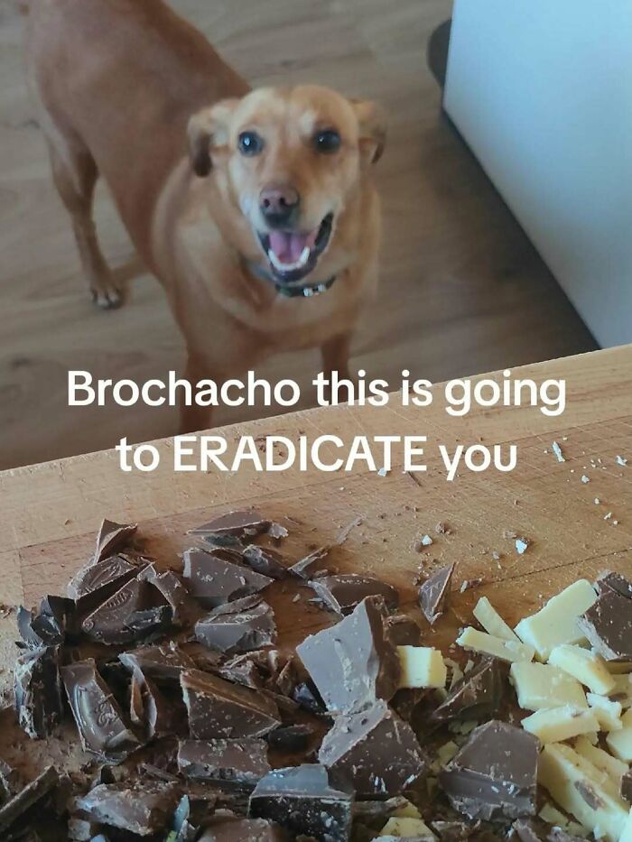 82 Completely Unhinged And Cringe Memes That Refuse To Follow Logic 82 Completely Unhinged And Cringe Memes That Refuse To Follow Logic