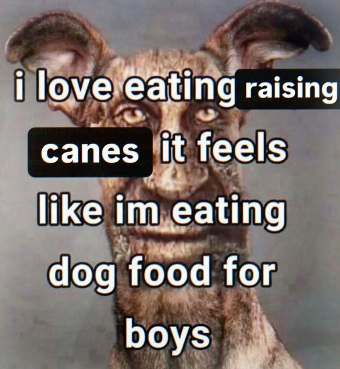 82 Completely Unhinged And Cringe Memes That Refuse To Follow Logic 82 Completely Unhinged And Cringe Memes That Refuse To Follow Logic