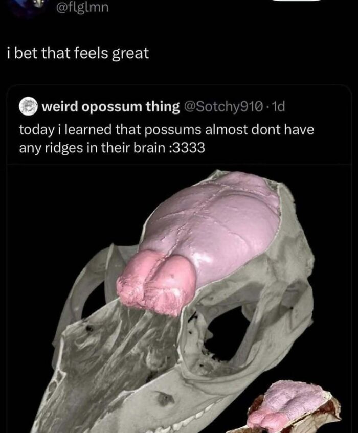82 Completely Unhinged And Cringe Memes That Refuse To Follow Logic 82 Completely Unhinged And Cringe Memes That Refuse To Follow Logic