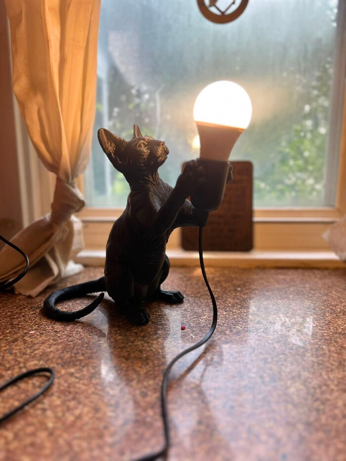&ldquo;I&rsquo;ve Been Waiting For This Moment&rdquo;: 82 Cool And Useful Things People Created With A 3D Printer