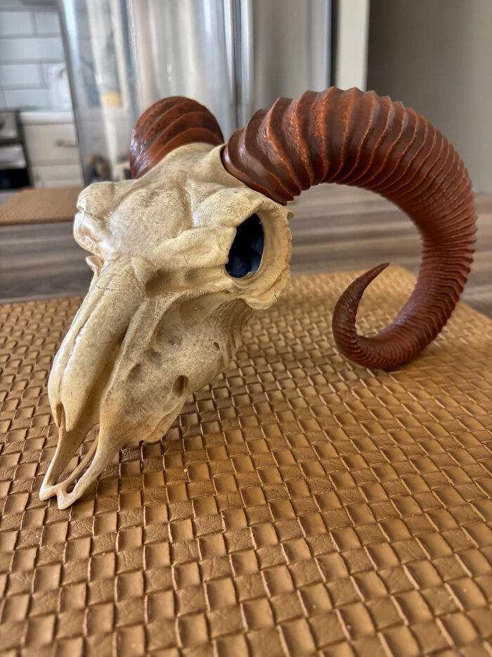 &ldquo;I&rsquo;ve Been Waiting For This Moment&rdquo;: 82 Cool And Useful Things People Created With A 3D Printer