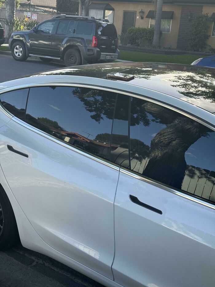 78 Times People Ruined Their Entire Day By Forgetting Something Extremely Important