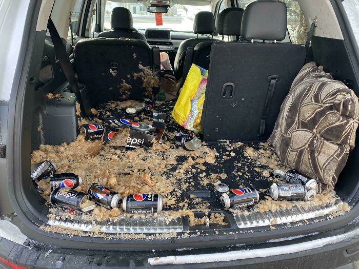 78 Times People Ruined Their Entire Day By Forgetting Something Extremely Important
