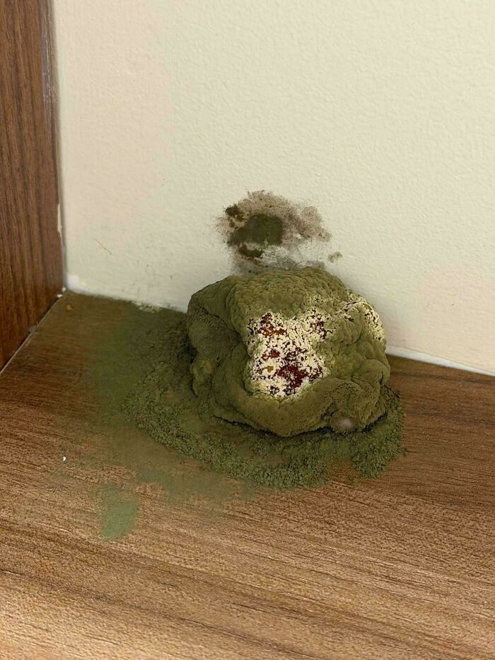 78 Times People Ruined Their Entire Day By Forgetting Something Extremely Important