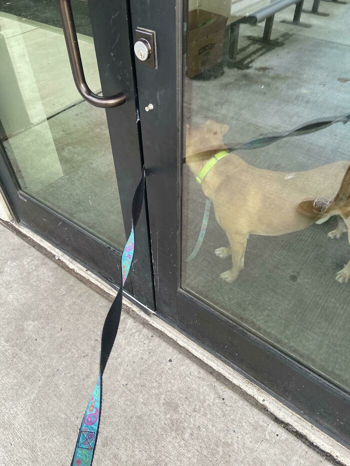 78 Times People Ruined Their Entire Day By Forgetting Something Extremely Important