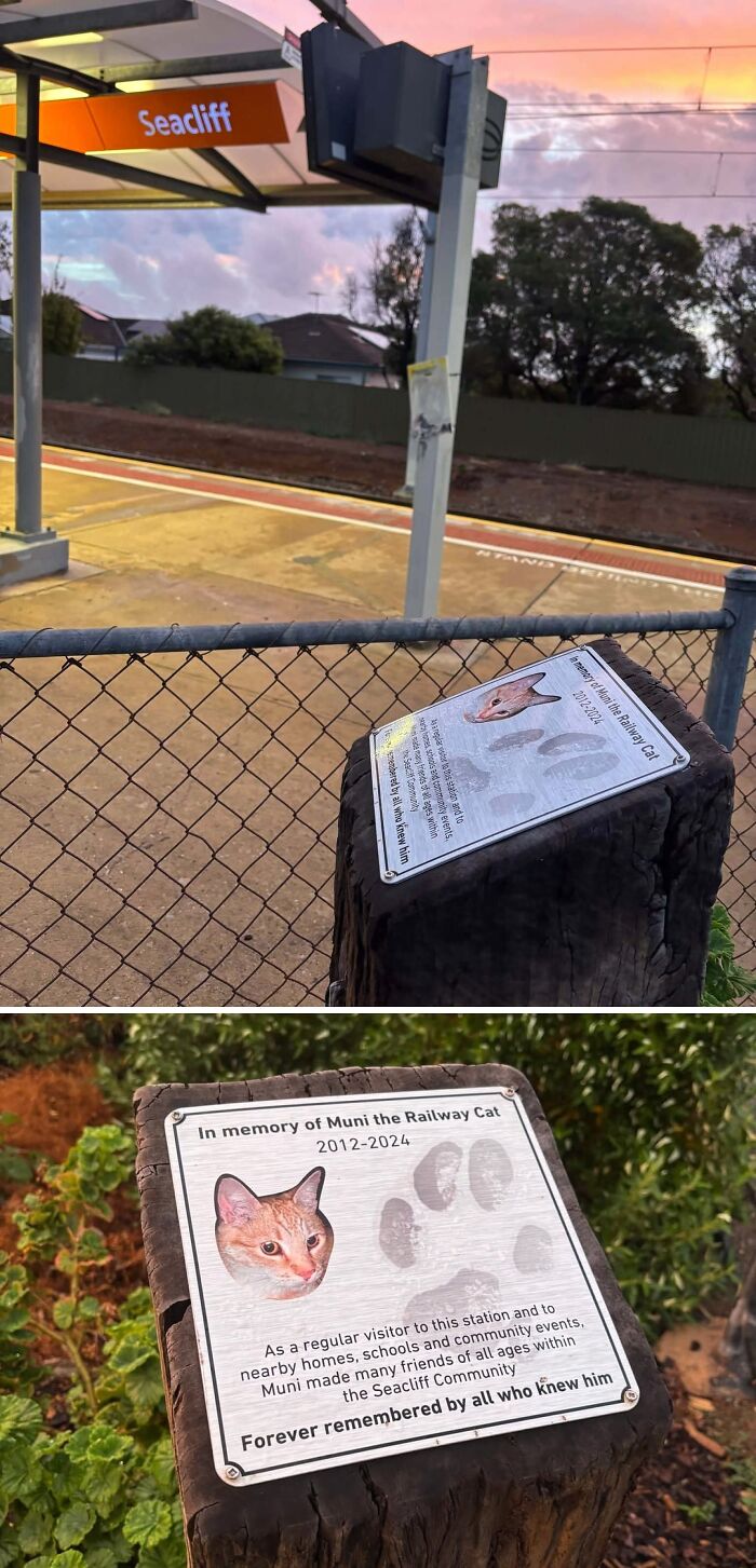 62 Interesting Posts You Might Have To Be An Aussie To Fully Understand (New Pics) 62 Interesting Posts You Might Have To Be An Aussie To Fully Understand (New Pics)