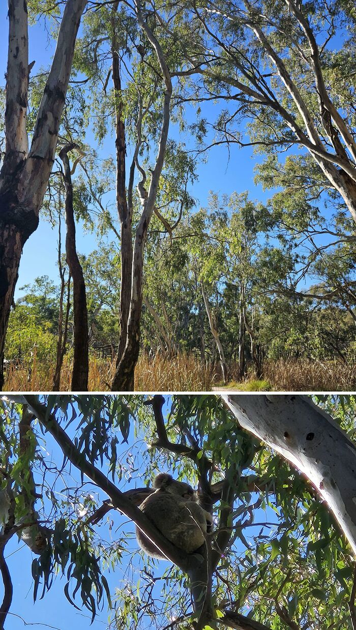 62 Interesting Posts You Might Have To Be An Aussie To Fully Understand (New Pics) 62 Interesting Posts You Might Have To Be An Aussie To Fully Understand (New Pics)