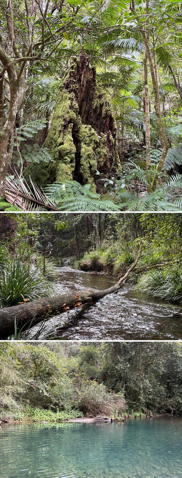 62 Interesting Posts You Might Have To Be An Aussie To Fully Understand (New Pics) 62 Interesting Posts You Might Have To Be An Aussie To Fully Understand (New Pics)