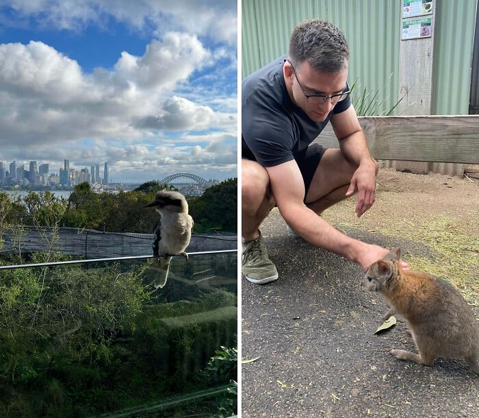 62 Interesting Posts You Might Have To Be An Aussie To Fully Understand (New Pics) 62 Interesting Posts You Might Have To Be An Aussie To Fully Understand (New Pics)