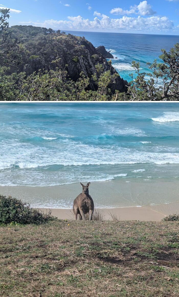 62 Interesting Posts You Might Have To Be An Aussie To Fully Understand (New Pics) 62 Interesting Posts You Might Have To Be An Aussie To Fully Understand (New Pics)
