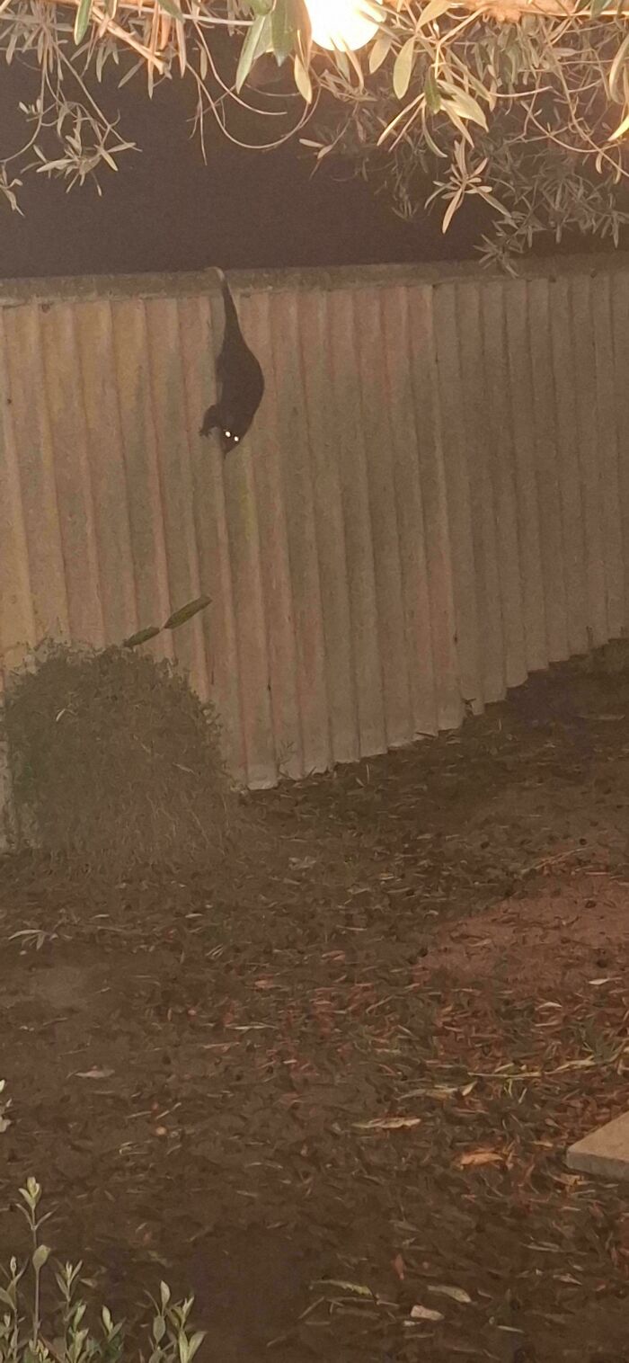 62 Interesting Posts You Might Have To Be An Aussie To Fully Understand (New Pics) 62 Interesting Posts You Might Have To Be An Aussie To Fully Understand (New Pics)
