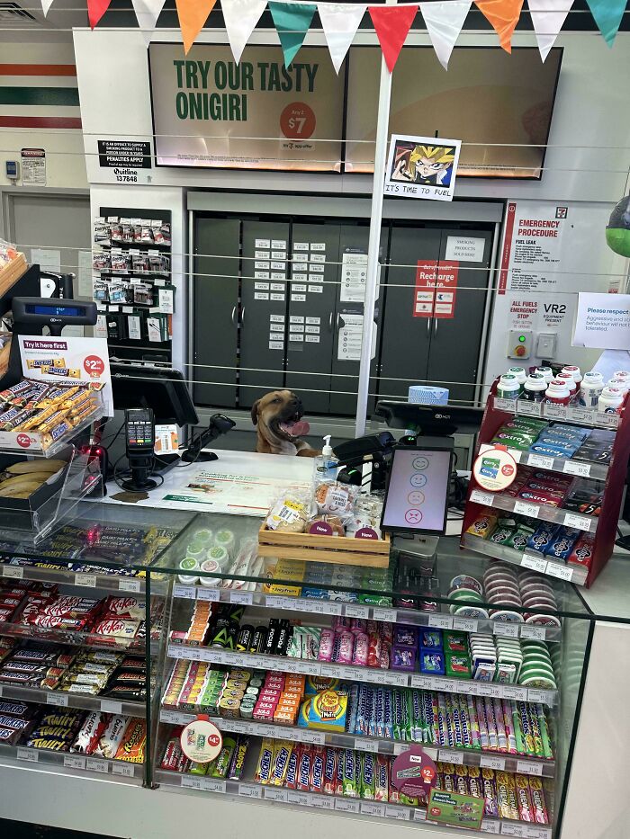 62 Interesting Posts You Might Have To Be An Aussie To Fully Understand (New Pics) 62 Interesting Posts You Might Have To Be An Aussie To Fully Understand (New Pics)