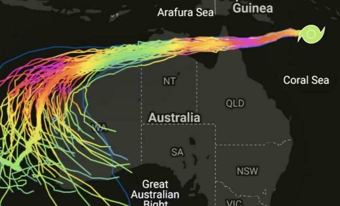 62 Interesting Posts You Might Have To Be An Aussie To Fully Understand (New Pics) 62 Interesting Posts You Might Have To Be An Aussie To Fully Understand (New Pics)