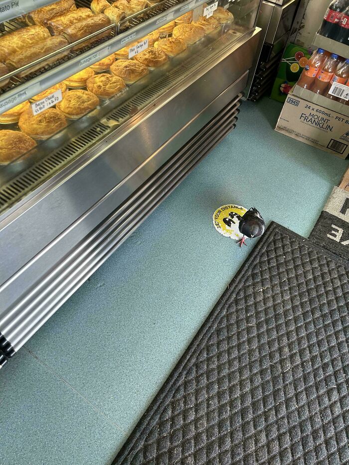 62 Interesting Posts You Might Have To Be An Aussie To Fully Understand (New Pics) 62 Interesting Posts You Might Have To Be An Aussie To Fully Understand (New Pics)