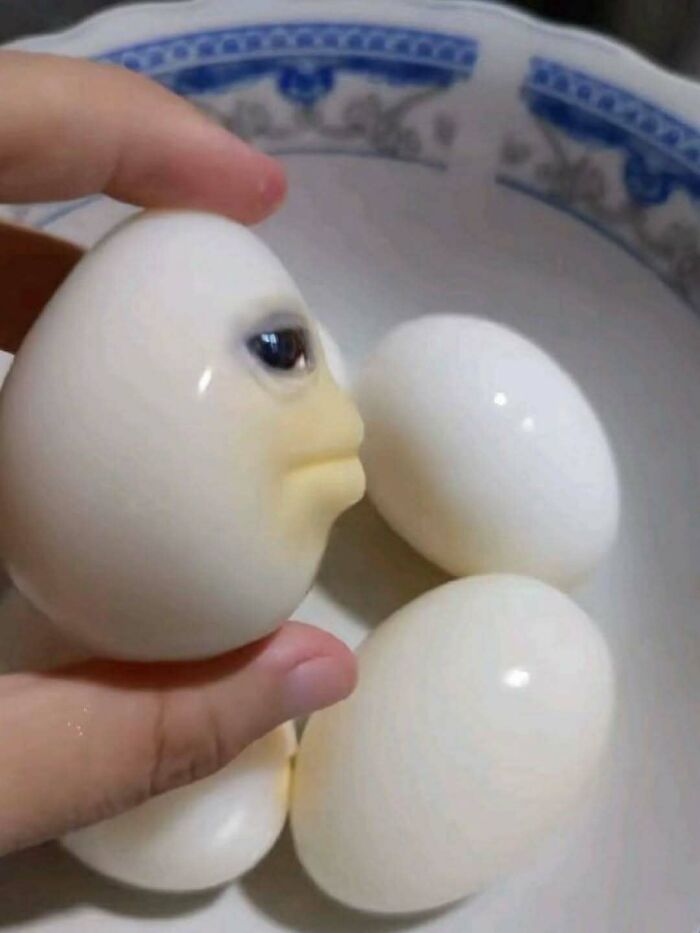 52 Funny And Stupid Screenshots That Show How Weird People On The Internet Can Be