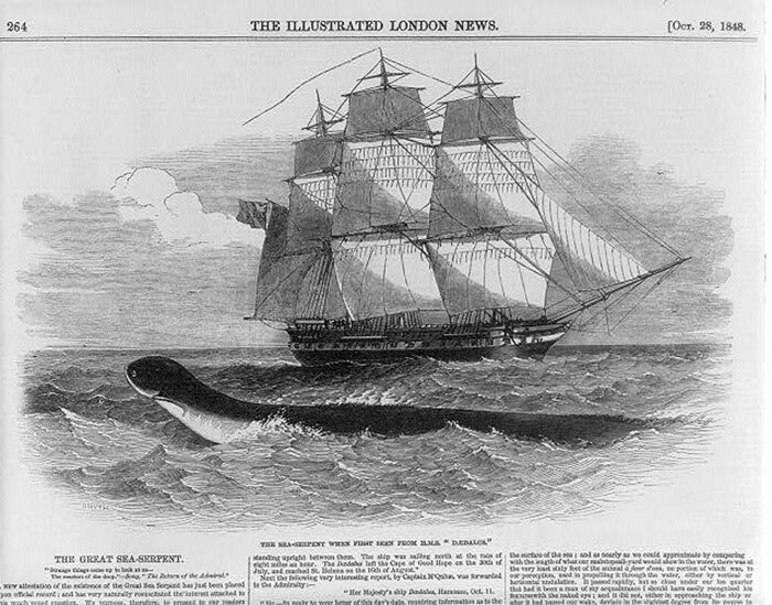 The Terrifying Ocean Monster That Scientists Cannot Catch, Study, Or Stop Thinking About The Terrifying Ocean Monster That Scientists Cannot Catch, Study, Or Stop Thinking About