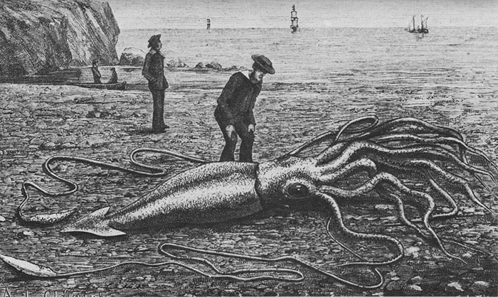 The Terrifying Ocean Monster That Scientists Cannot Catch, Study, Or Stop Thinking About The Terrifying Ocean Monster That Scientists Cannot Catch, Study, Or Stop Thinking About