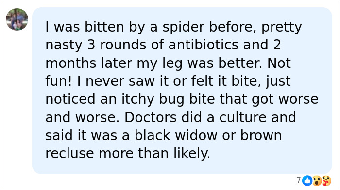 Mom-Of-Four Attacked By Spiders Biting Her Whole Body On Camping Trip, Now Fighting For Her Life In Hospital Mom-Of-Four Attacked By Spiders Biting Her Whole Body On Camping Trip, Now Fighting For Her Life In Hospital