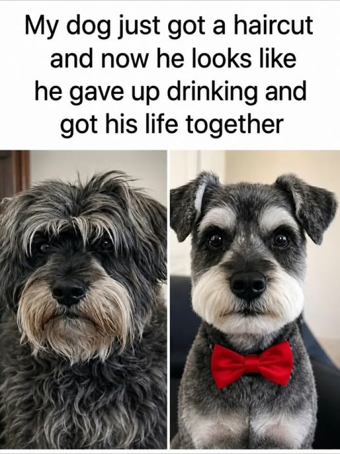 “Made My Heart Full”: 73 Wholesome Posts That Might Be Exactly What You Need Today (New Pics) “Made My Heart Full”: 73 Wholesome Posts That Might Be Exactly What You Need Today (New Pics)