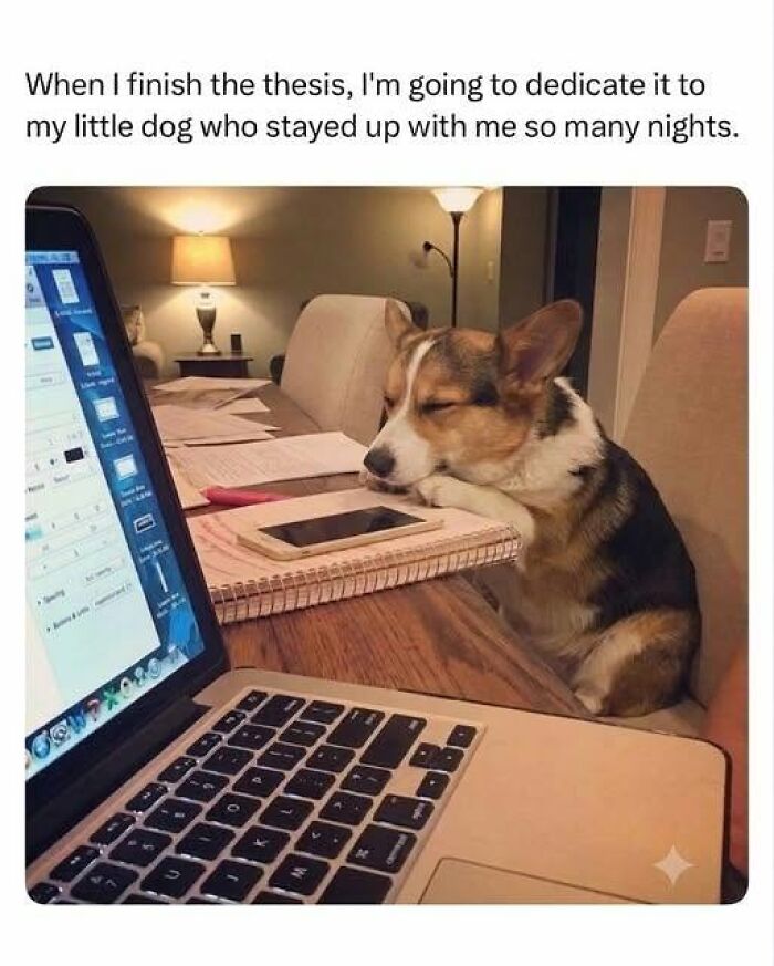 “Made My Heart Full”: 73 Wholesome Posts That Might Be Exactly What You Need Today (New Pics) “Made My Heart Full”: 73 Wholesome Posts That Might Be Exactly What You Need Today (New Pics)