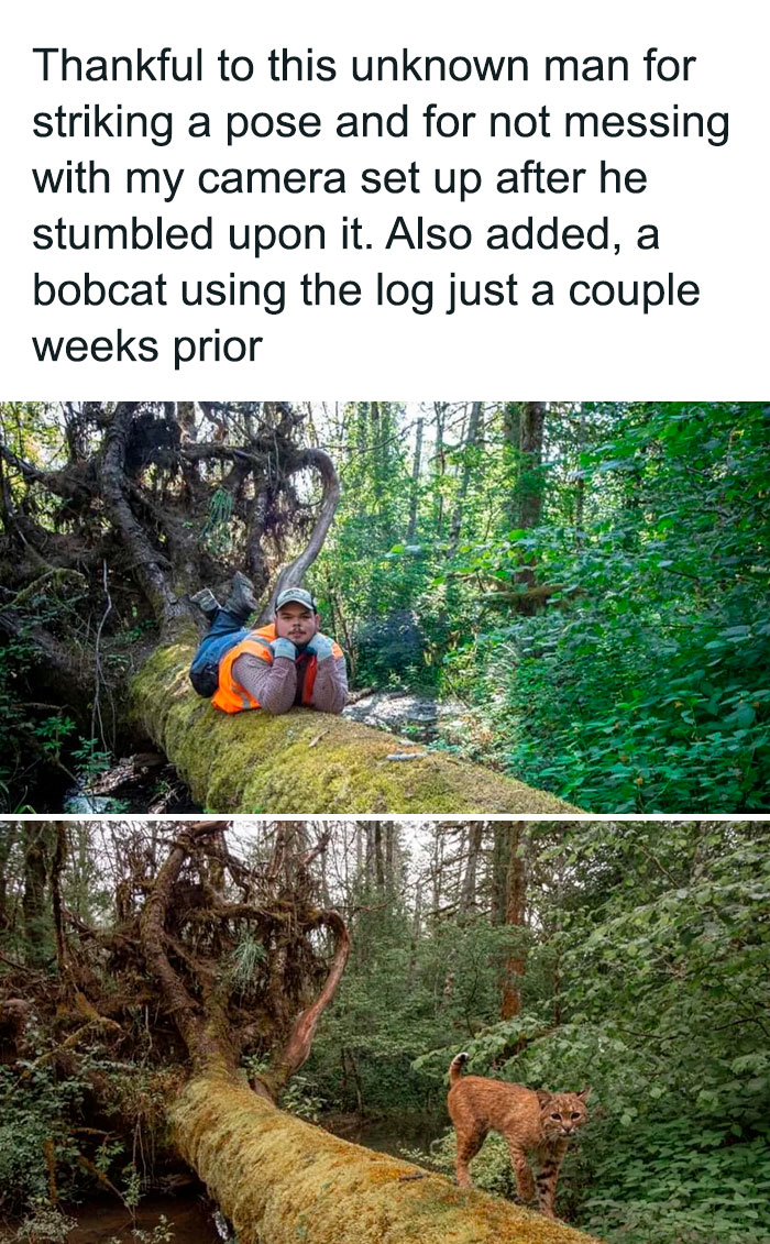 “Made My Heart Full”: 73 Wholesome Posts That Might Be Exactly What You Need Today (New Pics) “Made My Heart Full”: 73 Wholesome Posts That Might Be Exactly What You Need Today (New Pics)