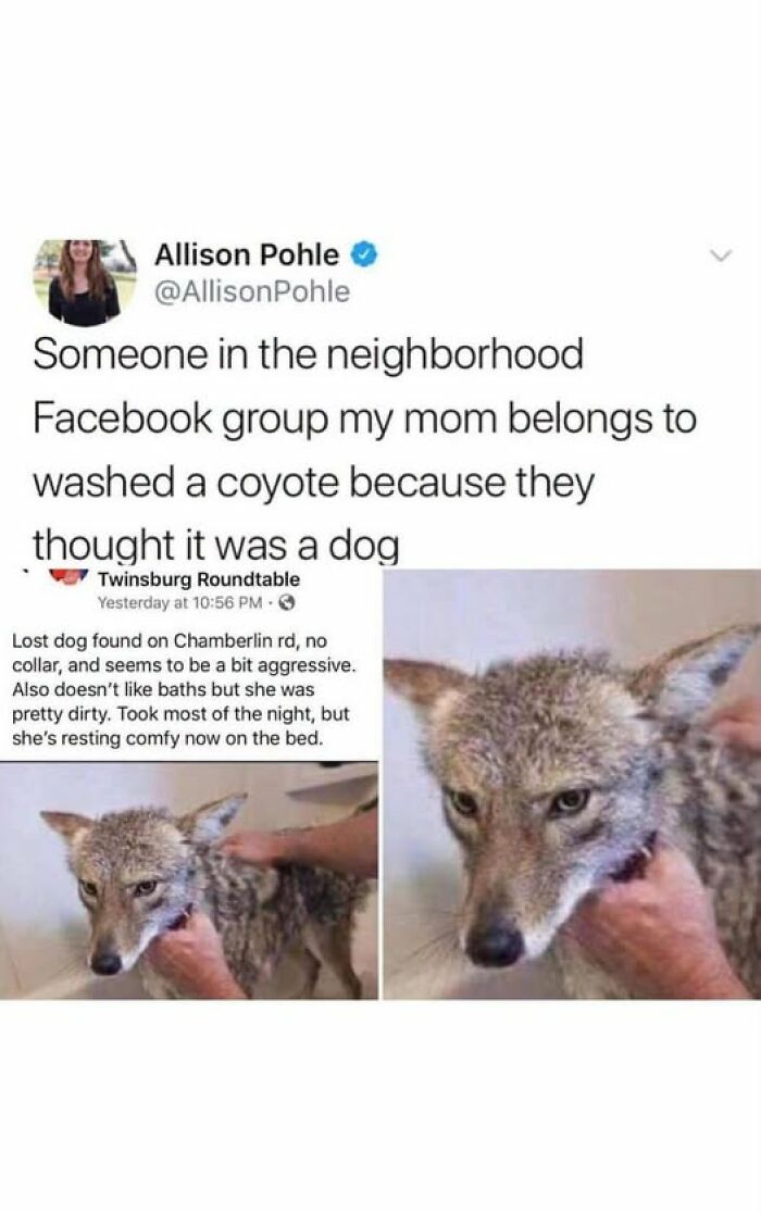 “Made My Heart Full”: 73 Wholesome Posts That Might Be Exactly What You Need Today (New Pics) “Made My Heart Full”: 73 Wholesome Posts That Might Be Exactly What You Need Today (New Pics)