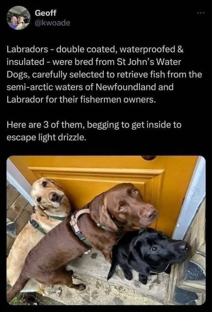 “Made My Heart Full”: 73 Wholesome Posts That Might Be Exactly What You Need Today (New Pics) “Made My Heart Full”: 73 Wholesome Posts That Might Be Exactly What You Need Today (New Pics)