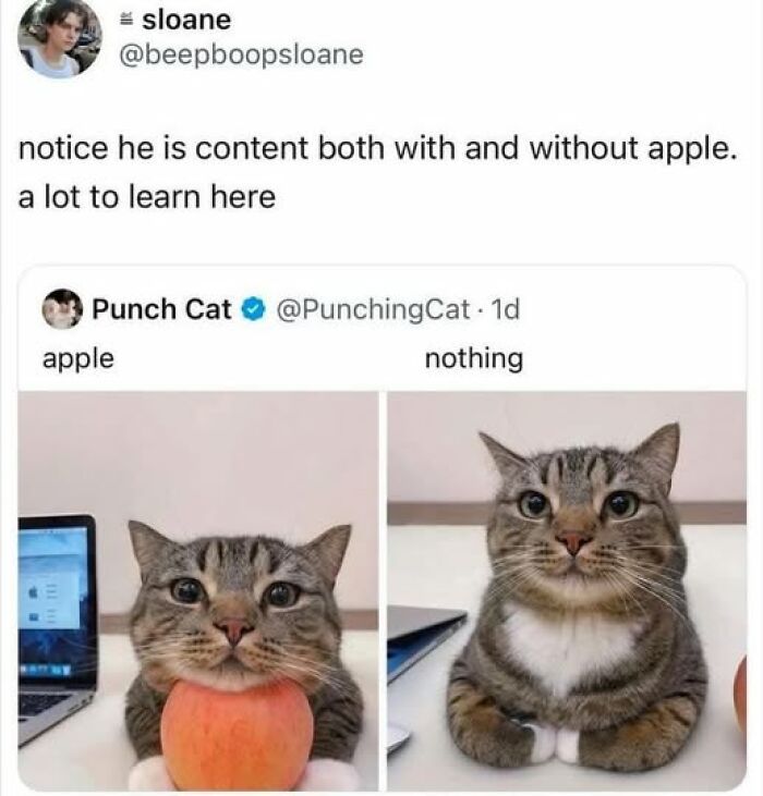 “Made My Heart Full”: 73 Wholesome Posts That Might Be Exactly What You Need Today (New Pics) “Made My Heart Full”: 73 Wholesome Posts That Might Be Exactly What You Need Today (New Pics)