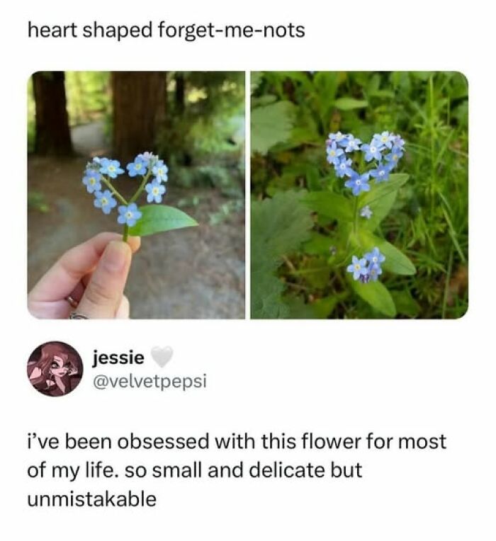 “Made My Heart Full”: 73 Wholesome Posts That Might Be Exactly What You Need Today (New Pics) “Made My Heart Full”: 73 Wholesome Posts That Might Be Exactly What You Need Today (New Pics)